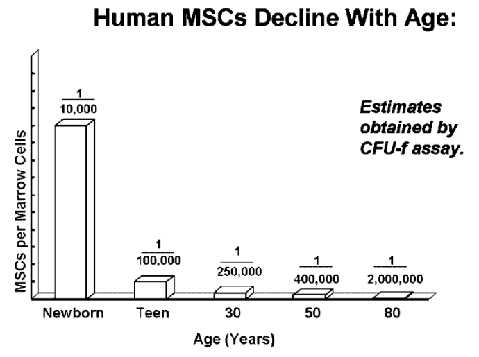 Adult Mesenchymal Stem Cells for Tissue Engineering vs Regenerative Medicine