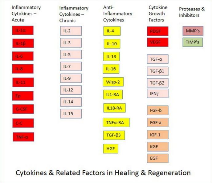 Growth factors and cytokines in wound healing